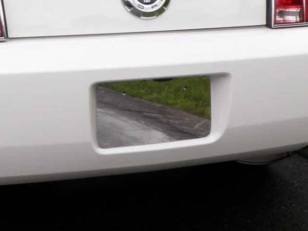 QAA - LP45351 Stainless Steel License Plate Bezel 1Pc 2005-2008 Ford Mustang QAA