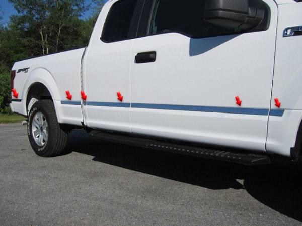 QAA - MI55308 Stainless Steel Molding Insert 10Pc 2015-2020 Ford F-150 QAA