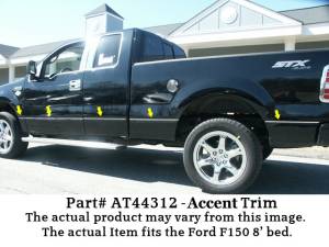 AT44312 Stainless Steel Side Accent Trim 10Pc 2004-2014 Ford F-150 QAA