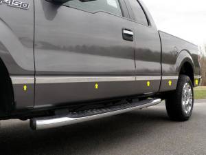 MI49311 Stainless Steel Molding Insert 10Pc 2009-2014 Ford F-150 QAA