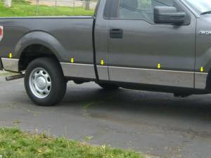 TH49308 Stainless Steel Rocker Panel Trim 10Pc 2009-2014 Ford F-150 QAA