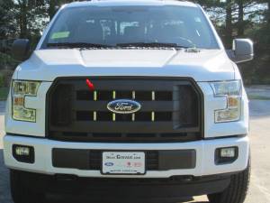 SG55308 Stainless Steel Grille Accent 8Pc 2015-2016 Ford F-150 QAA