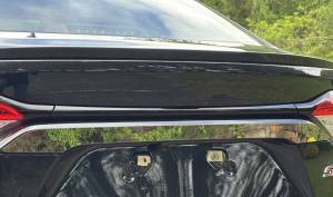 LB70112 Stainless Steel License Plate Bar Accent 1Pc 4-door, Sedan 2020-2025 Toyota Corolla QAA
