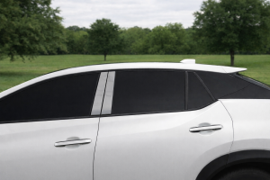 PP73120 Stainless Steel Pillar Trim 4Pc Fits 2023-2026 Lexus RZ 