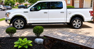 WZ58308 Molded Stainless Steel Wheel Well Fender Trim 4Pc 2018-2020 Ford F-150 QAA